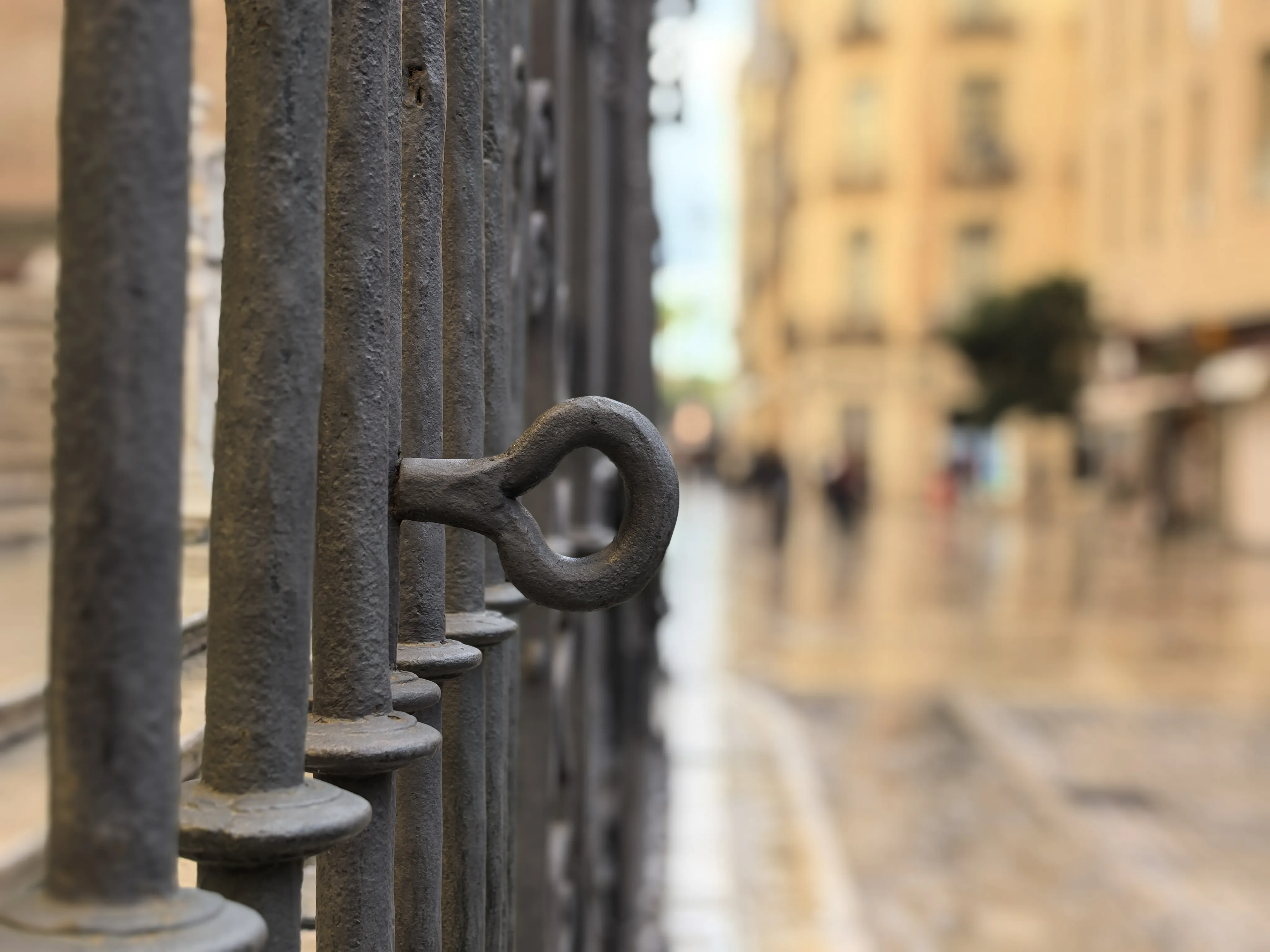 HUAWEI Pura 70 Ultra - System Aparatów - IMG_20251117_164941.webp